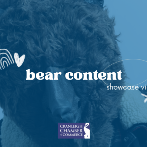 Video: Bear Content